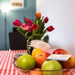 Homely Apartment's Old Town