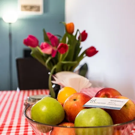 Homely Apartment's Old Town